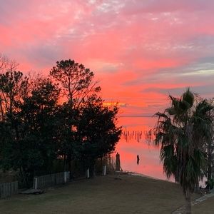 Meet your Posher, Gracie